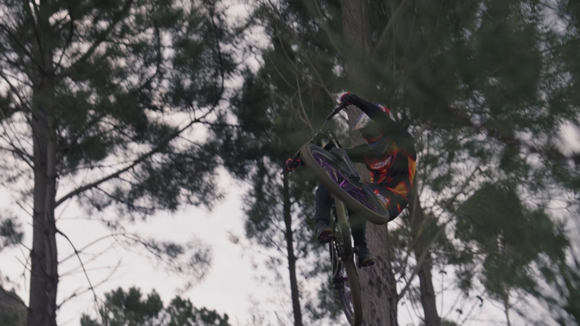 Ride Without Limits